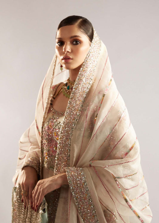 Hussain rehar unstich organza suit